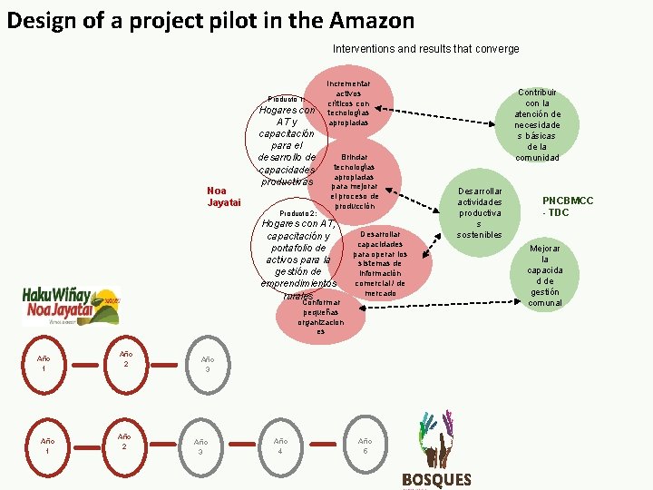 Design of a project pilot in the Amazon Interventions and results that converge Producto