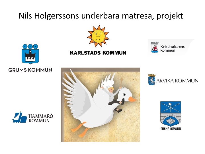 Nils Holgerssons underbara matresa, projekt 