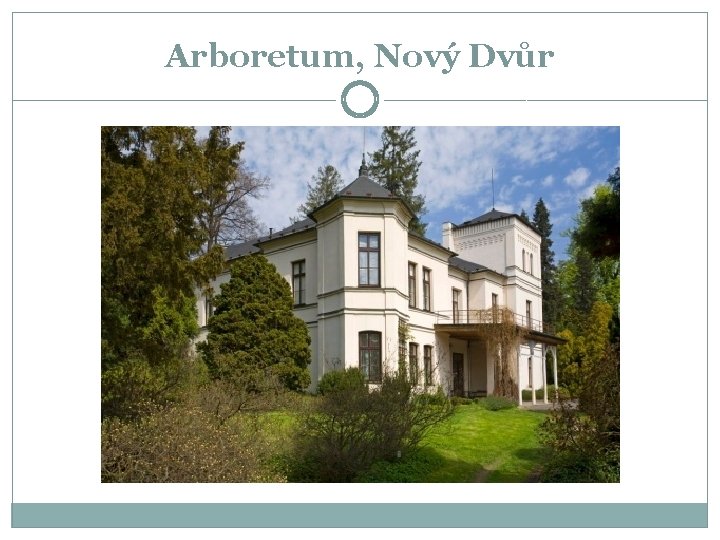 Arboretum, Nový Dvůr 