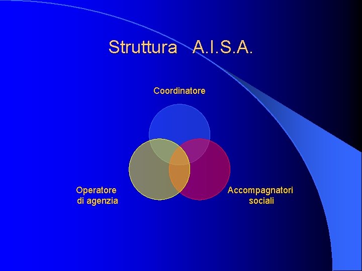 Struttura A. I. S. A. Coordinatore Operatore di agenzia Accompagnatori sociali 