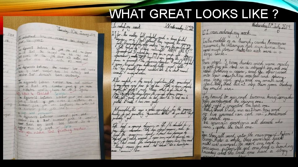 WHAT GREAT LOOKS LIKE ? 