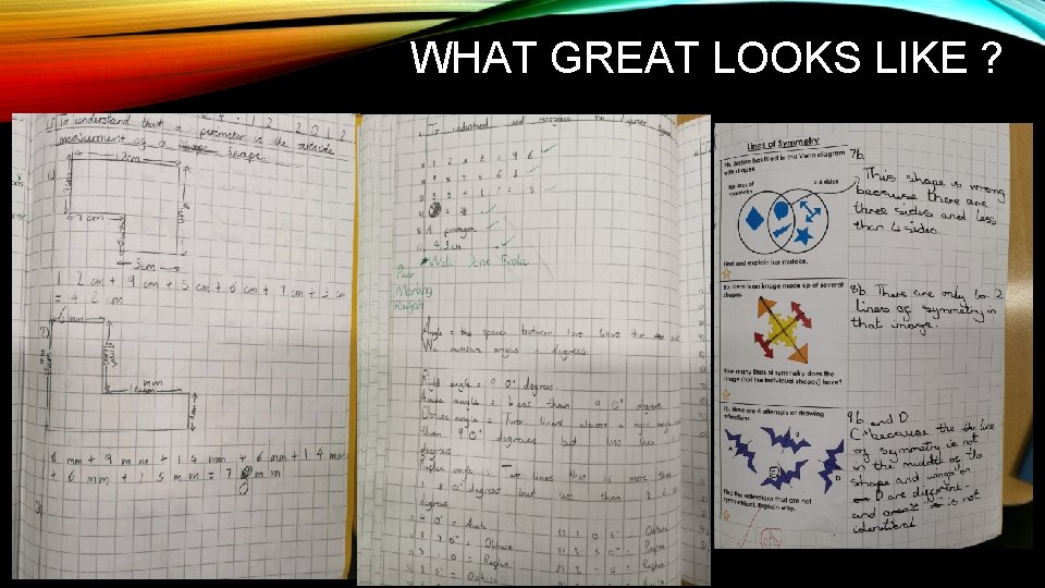 WHAT GREAT LOOKS LIKE ? 