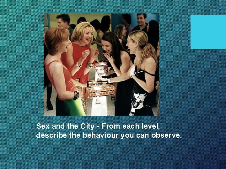 Sex and the City - From each level, describe the behaviour you can observe.