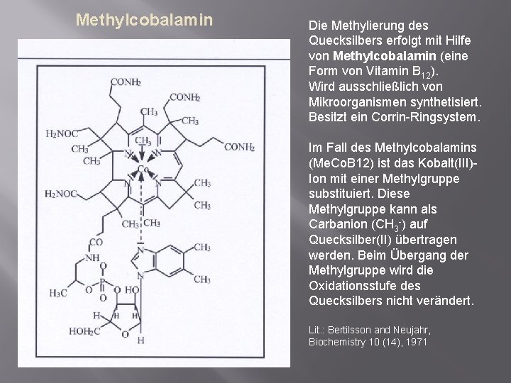 Methylcobalamin Die Methylierung des Quecksilbers erfolgt mit Hilfe von Methylcobalamin (eine Form von Vitamin
