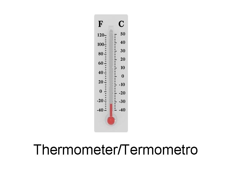 Thermometer/Termometro 