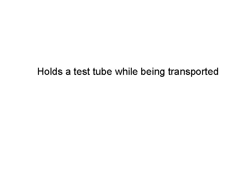 Holds a test tube while being transported 