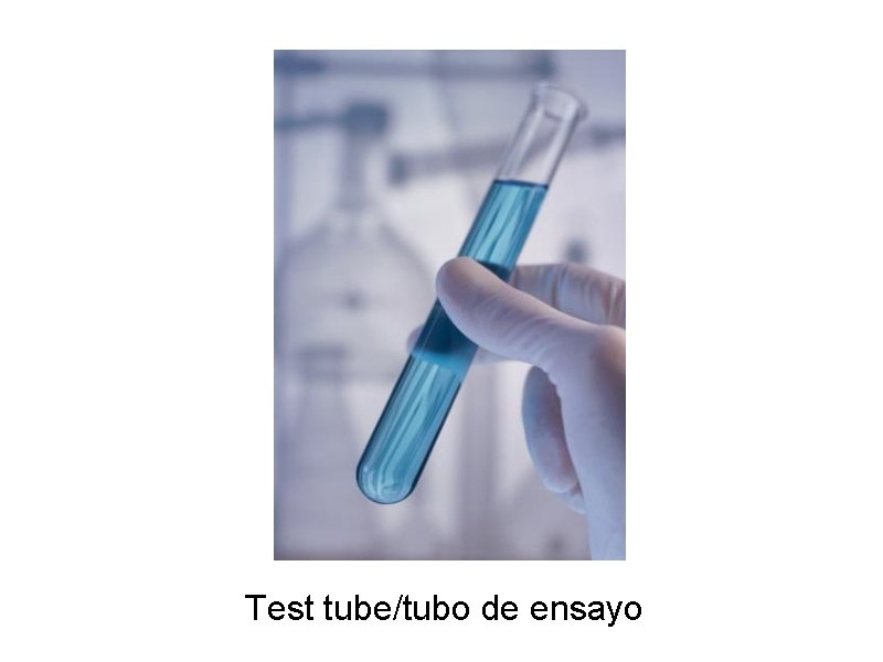 Test tube/tubo de ensayo 