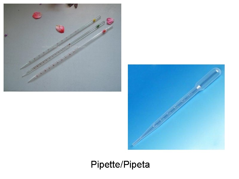 Pipette/Pipeta 