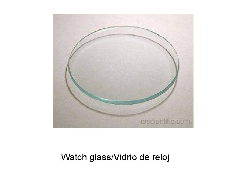 Watch glass/Vidrio de reloj 