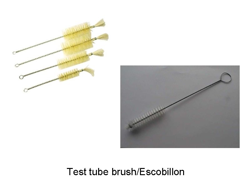 Test tube brush/Escobillon 