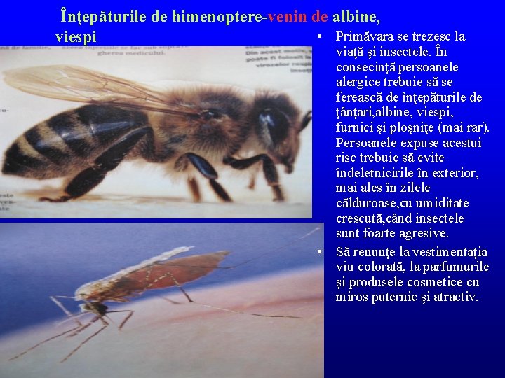 Înțepăturile de himenoptere-venin de albine, • Primăvara se trezesc la viespi viaţă şi insectele.