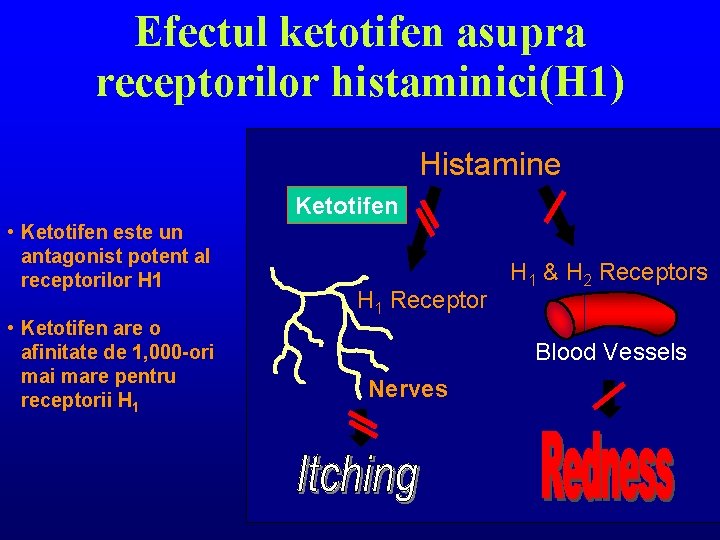 Efectul ketotifen asupra receptorilor histaminici(H 1) Histamine Ketotifen • Ketotifen este un antagonist potent