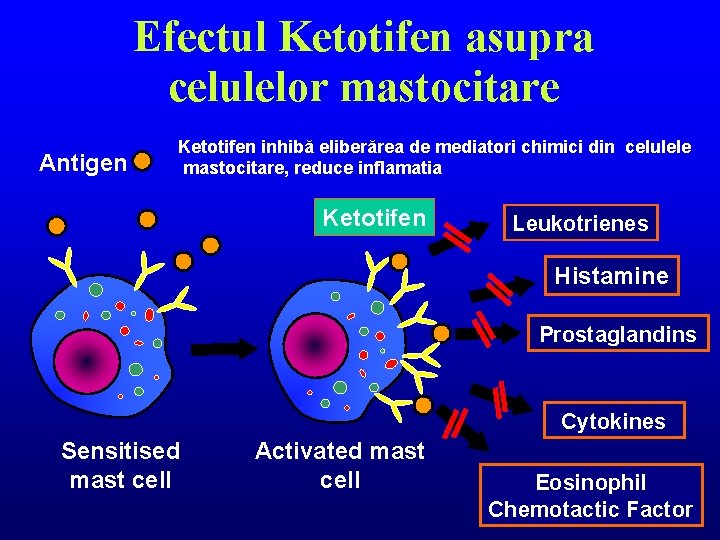 Efectul Ketotifen asupra celulelor mastocitare Antigen Ketotifen inhibă eliberărea de mediatori chimici din celulele
