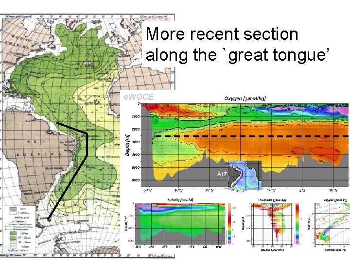 More recent section along the `great tongue’ More recent section along the `great tongue’