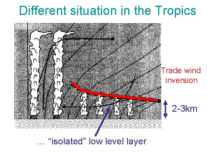 Different situation in the Tropics Trade wind inversion 2 -3 km … “isolated” low Different situation in the Tropics Trade wind inversion 2 -3 km … “isolated” low