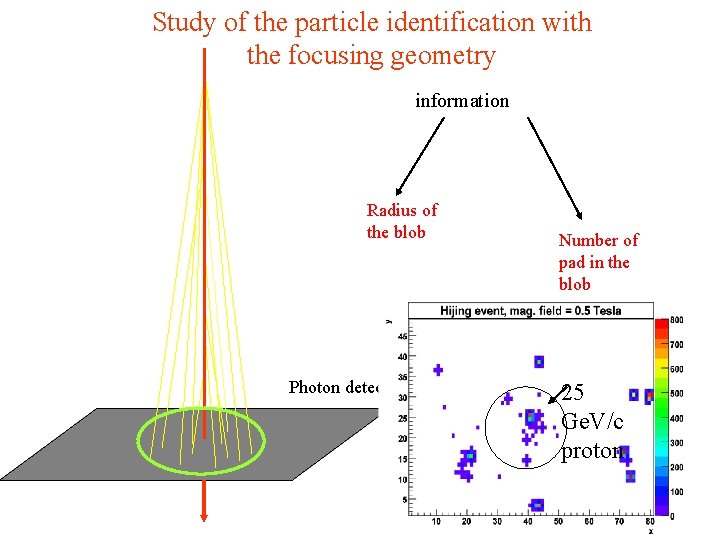 Study of the particle identification with the focusing geometry information Radius of the blob
