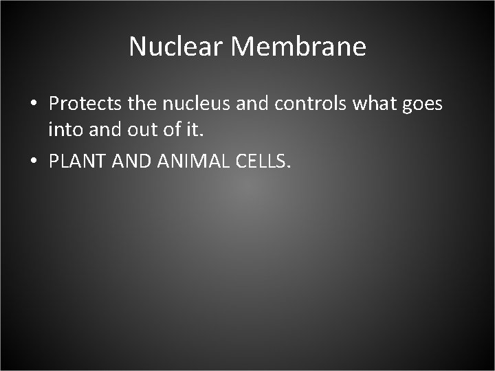 Nuclear Membrane • Protects the nucleus and controls what goes into and out of