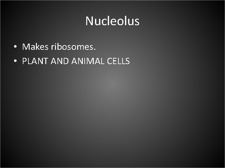 Nucleolus • Makes ribosomes. • PLANT AND ANIMAL CELLS 