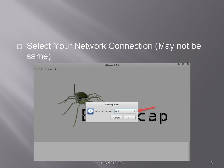 � Select Your Network Connection (May not be same) MIS 5212. 001 16 