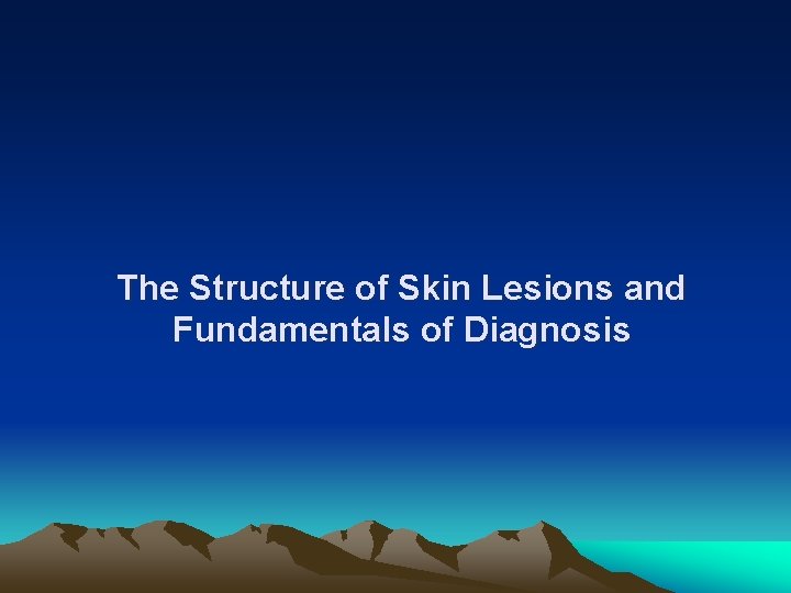 The Structure of Skin Lesions and Fundamentals of Diagnosis 