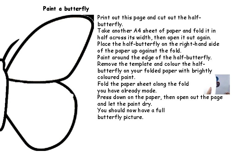 Paint a butterfly Print out this page and cut out the halfbutterfly. Take another