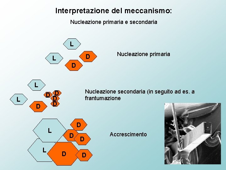 Interpretazione del meccanismo: Nucleazione primaria e secondaria L D L Nucleazione primaria D L