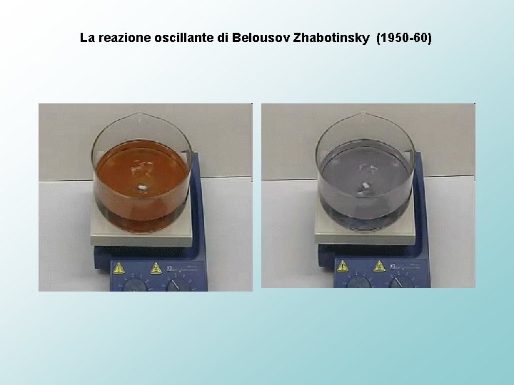 La reazione oscillante di Belousov Zhabotinsky (1950 -60) 