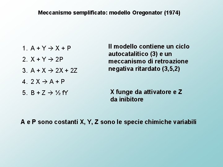 Meccanismo semplificato: modello Oregonator (1974) 1. A + Y X + P 2. X