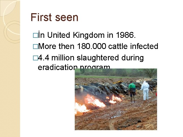 First seen �İn United Kingdom in 1986. �More then 180. 000 cattle infected �