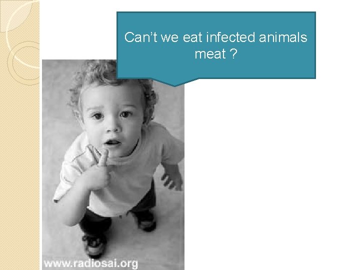 Can’t we eat infected animals meat ? 