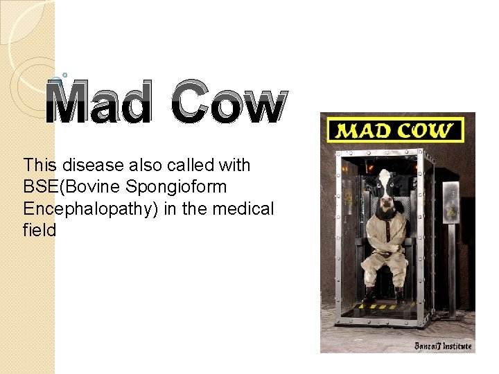 Mad Cow This disease also called with BSE(Bovine Spongioform Encephalopathy) in the medical field