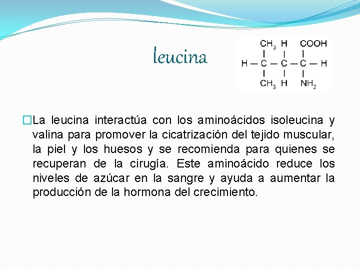 leucina �La leucina interactúa con los aminoácidos isoleucina y valina para promover la cicatrización