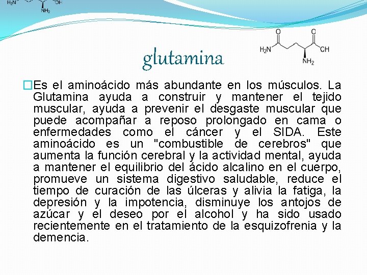 glutamina �Es el aminoácido más abundante en los músculos. La Glutamina ayuda a construir