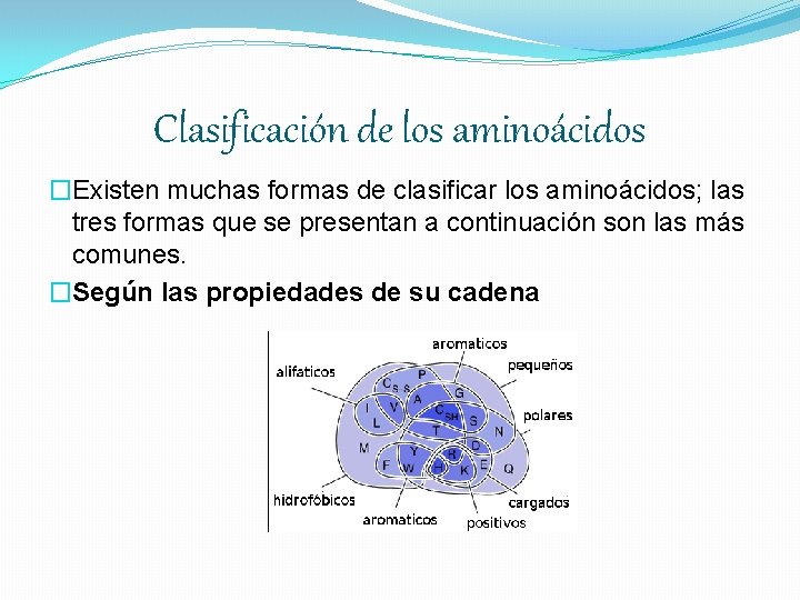 Clasificación de los aminoácidos �Existen muchas formas de clasificar los aminoácidos; las tres formas