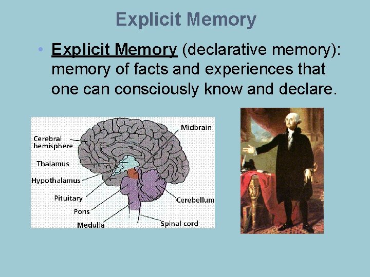 Explicit Memory • Explicit Memory (declarative memory): memory of facts and experiences that one