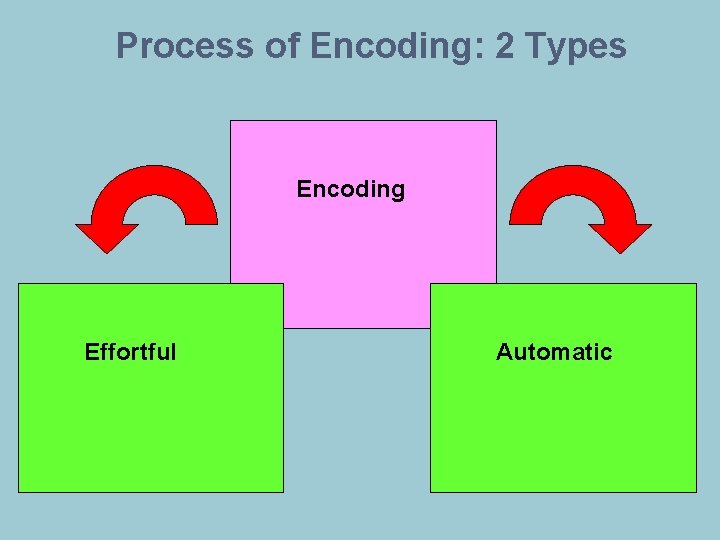 Process of Encoding: 2 Types Encoding Effortful Automatic 