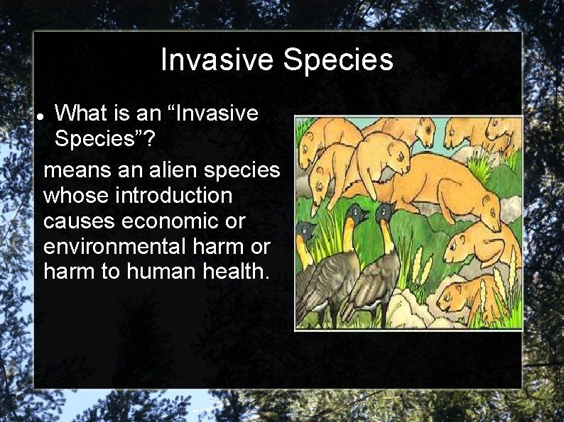 Invasive Species What is an “Invasive Species”? means an alien species whose introduction causes