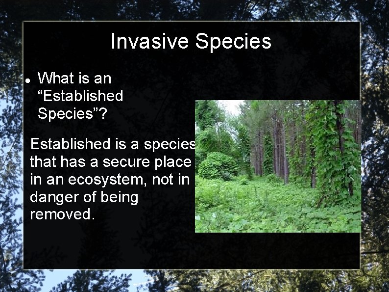Invasive Species What is an “Established Species”? Established is a species that has a