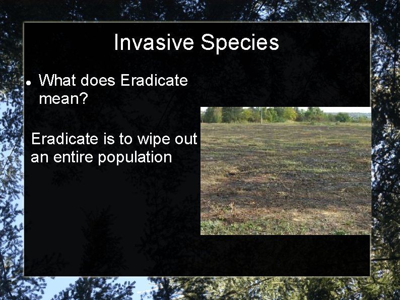 Invasive Species What does Eradicate mean? Eradicate is to wipe out an entire population