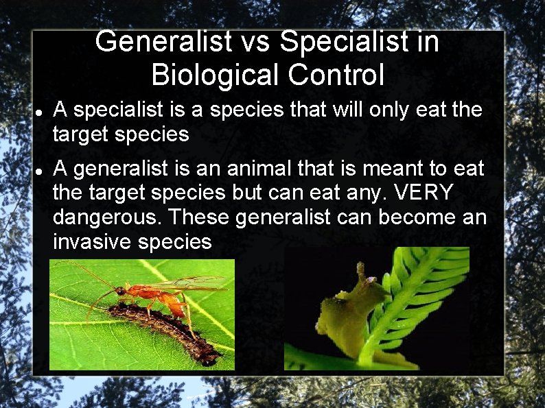 Generalist vs Specialist in Biological Control A specialist is a species that will only