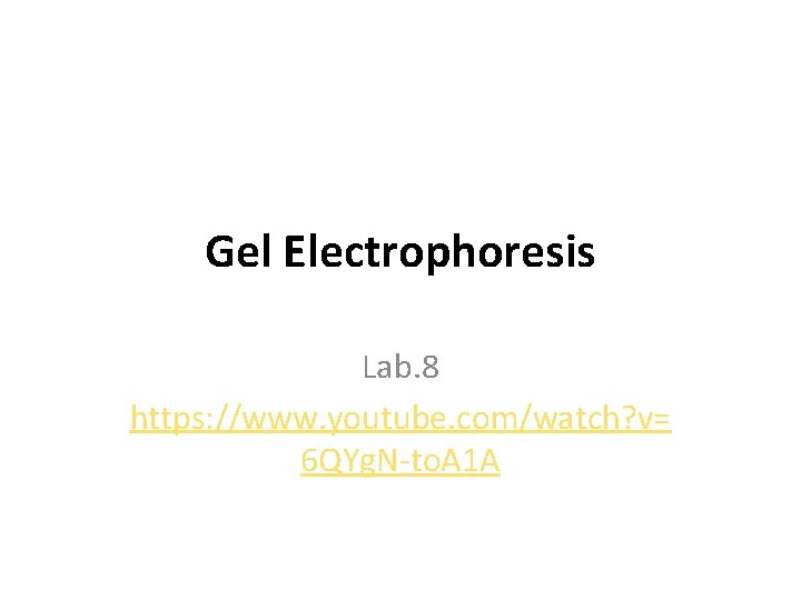 Gel Electrophoresis Lab. 8 https: //www. youtube. com/watch? v= 6 QYg. N-to. A 1