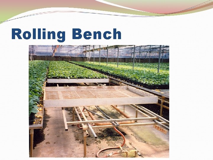 Rolling Bench 