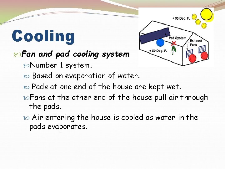 Cooling Fan and pad cooling system Number 1 system. Based on evaporation of water.