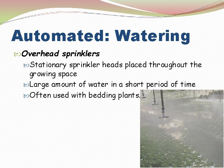 Automated: Watering Overhead sprinklers Stationary sprinkler heads placed throughout the growing space Large amount