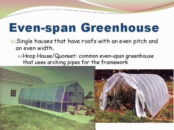 Even-span Greenhouse Single houses that have roofs with an even pitch and an even