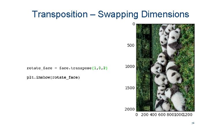 Transposition – Swapping Dimensions 76 