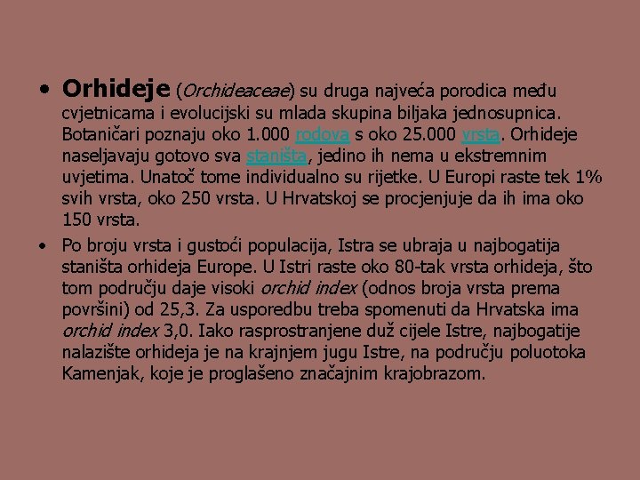  • Orhideje (Orchideaceae) su druga najveća porodica među cvjetnicama i evolucijski su mlada