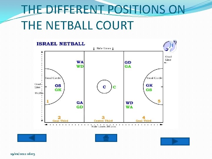 THE DIFFERENT POSITIONS ON THE NETBALL COURT 19/01/2022 16: 05 THE DIFFERENT POSITIONS ON THE NETBALL COURT 19/01/2022 16: 05