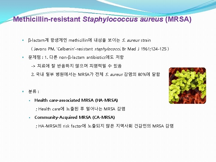 Methicillin-resistant Staphylococcus aureus (MRSA) § β-lactam계 항생제인 methicillin에 내성을 보이는 S. aureus strain (