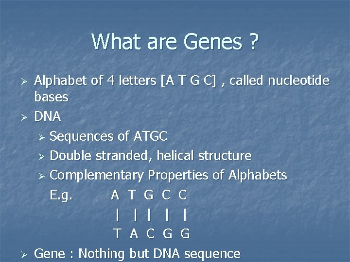 What are Genes ? Ø Ø Ø Alphabet of 4 letters [A T G